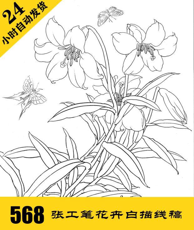g001 花卉工笔白描线描电子图568张 可打印 国画临摹素材 自动发