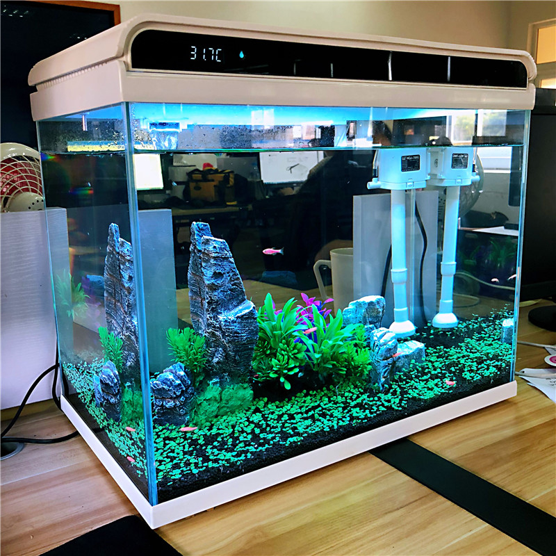 鱼缸水族箱超白玻璃免换水客厅生态创