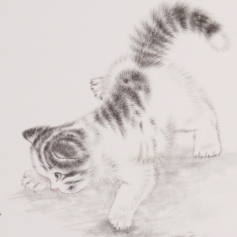 米春茂 《精品工笔猫系列之三》