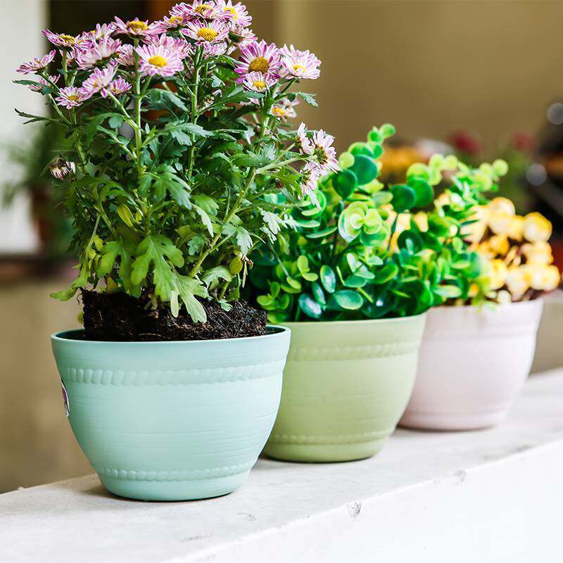 特价绿萝花盆 塑料 朔料_爱丽丝圆形塑料花盆简约中等室内地面树脂