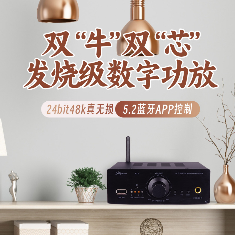 5.2蓝牙无损HIFI发烧级功放家用数字大功率桌面房间高保真耳放