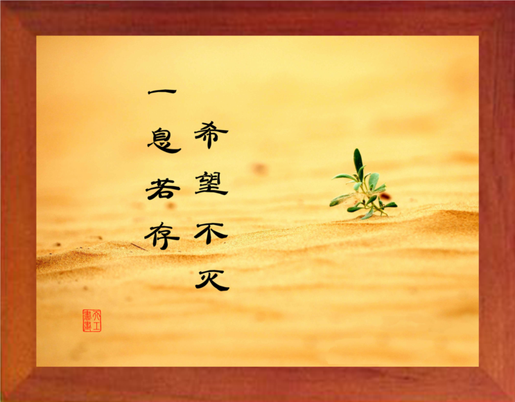【营养书画】进口实木有框画哲理画励志摆件/一息若存,希望不灭