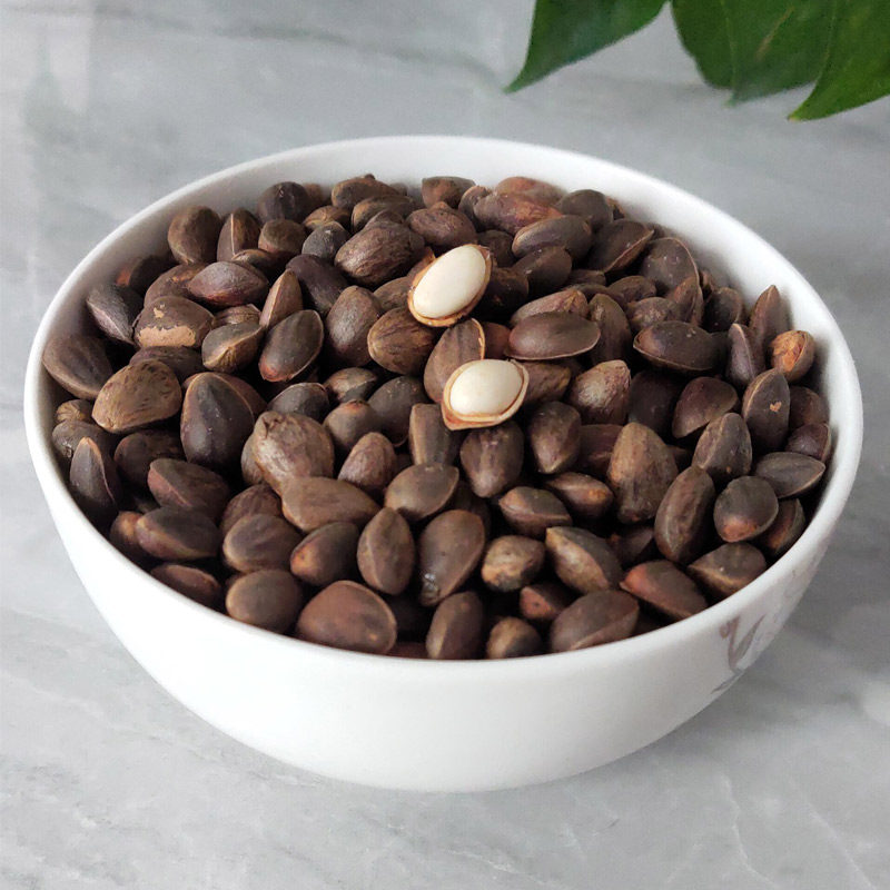 特价云南野生松子