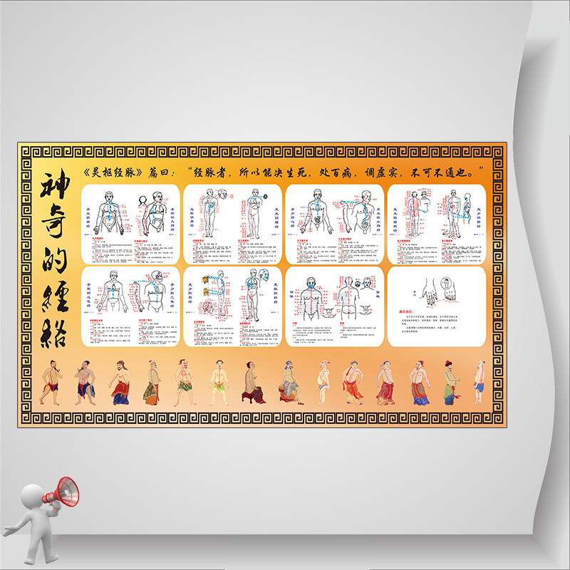 经络理疗文化宣传海报 人体经脉知识科普挂图 中医门诊养生馆墙贴