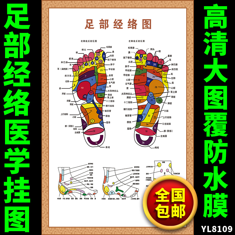 人体经络穴位挂图 脚步经络图左右足部反射区 中医院养生馆墙贴画