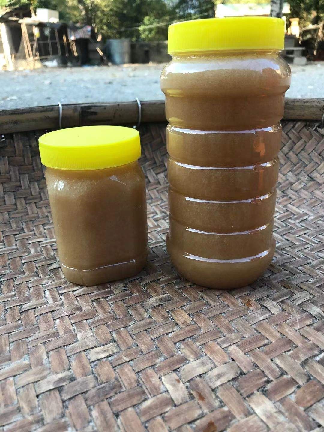 新鸭脚木蜜结晶冬蜜纯天然蜂蜜农家自产野生土百花蜜荔枝峰蜜新品