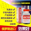 貓狗豚鼠兔子倉鼠花枝子宮內膜炎子宮蓄膿子宮肌瘤乳腺炎胎衣不下 貓狗豚鼠兔子倉鼠花枝子宮內膜炎子宮蓄膿子宮肌瘤乳腺炎胎衣不下