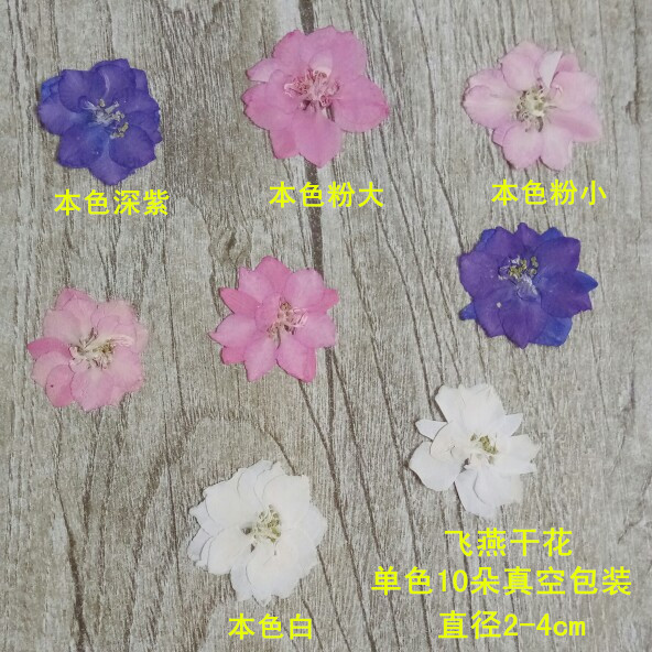 天然植物干花飞燕花 蜡烛干花 蜡片干花 DIY手工干花 单色10朵装