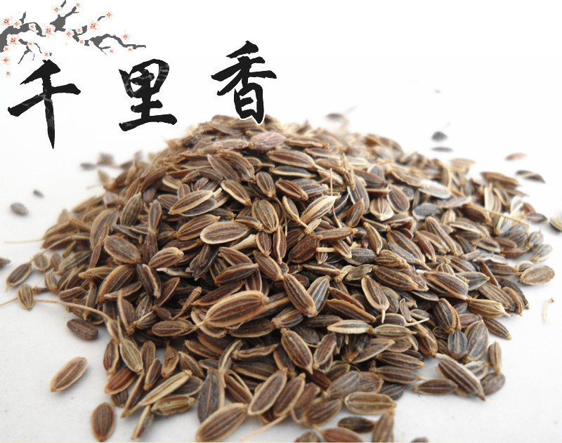 千里香香精冬季钓鱼小药窝料添加剂野钓黑坑鲫鲤草鱼饵料诱鱼剂