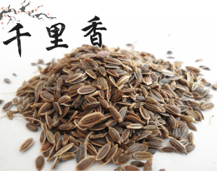 千里香香料
