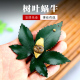 指间陶艺 创意宜兴紫砂茶宠 纯手工树叶蜗牛茶玩摆件精品变色可养