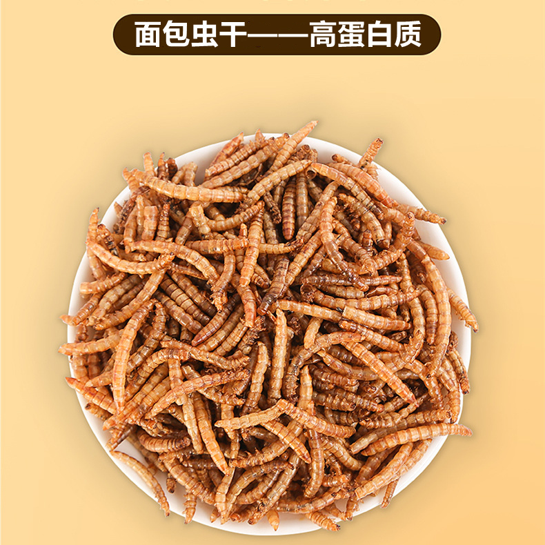 面包虫干芦丁鸡粮食刺猬黄粉龟粮用品仓鼠主粮零食物面包虫罐装