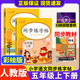 五年级上下册语文同步练字帖人教版英语暑假作业语文5年级上下学期字帖楷书小学生描红生字练字本语文专项训练写字课练每日一练