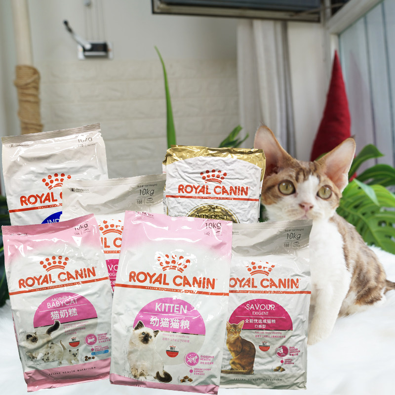 米欧宠物 royal canin皇家英短美短波斯幼猫奶糕室内成猫猫粮10kg