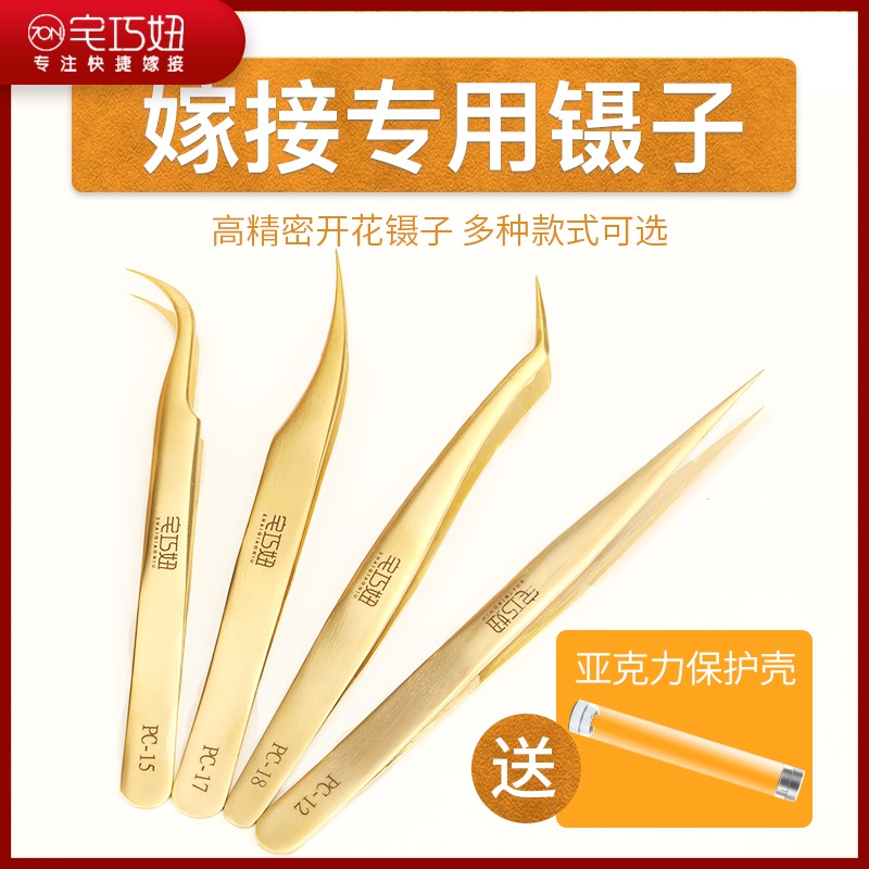 嫁接睫毛镊子山茶花专用镊子精密开花镊海豚开花夹嫁接镊子工具|msdalam kategori Alat solek/minyak wangi/kecantikan, Alat-alat Kecantikan, Makeup/Alat kecantikan - dari Buy2taobao.com untuk memberikan perkhidmatan ejen Taobao profesional membeli