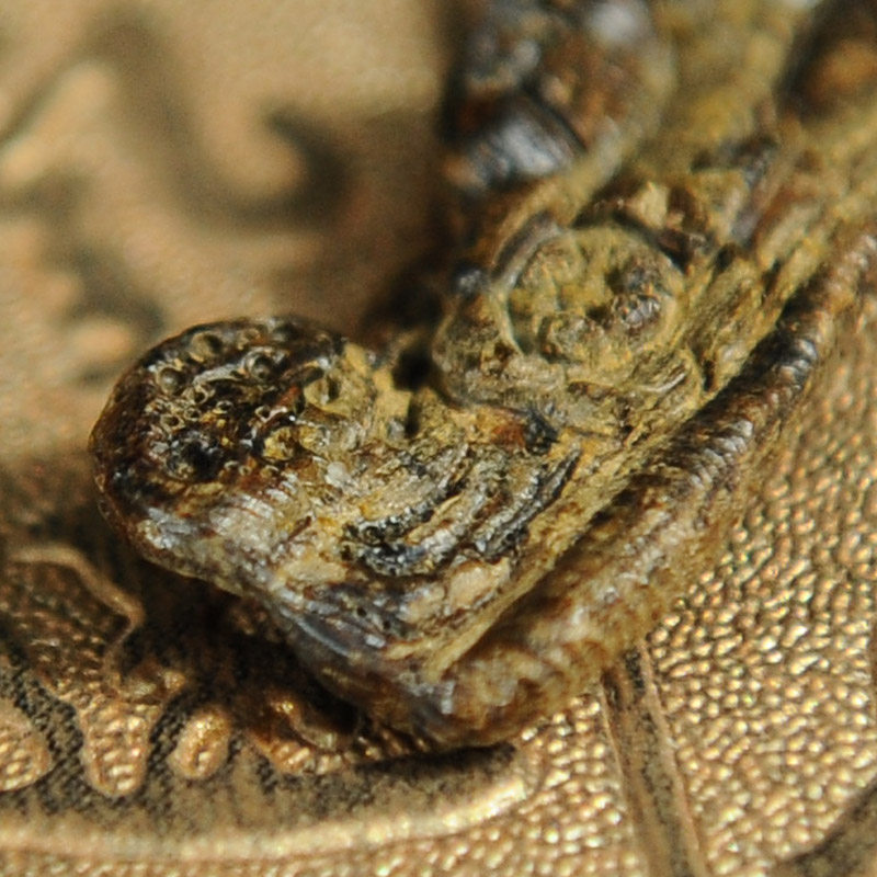 框广名木根雕收藏专场  拍品详情 进入该拍品专场   起拍价: &yen;2