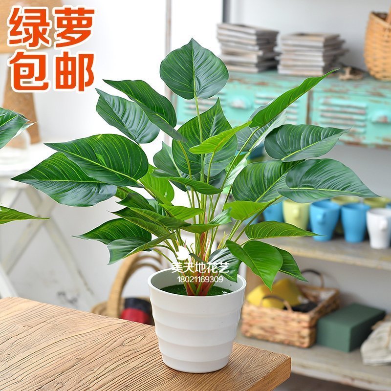 仿真植物盆栽室内装饰塑料花仿真绿萝小盆栽客厅假花绿植盆景摆件