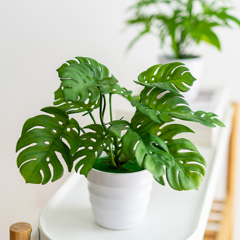 仿真绿萝小盆栽植物假绿植家居客厅桌面摆件装饰塑料花草盆景摆设