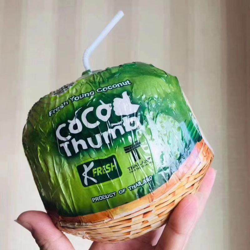 泰国进口kfresh易开宝coco椰青6个装椰皇易拉罐新鲜水果椰子顺丰