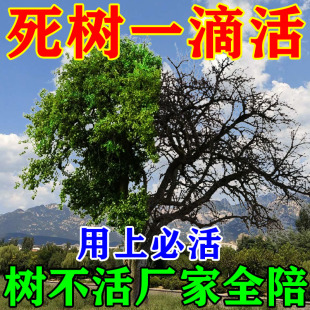 强力生根药水复活液枯树大树再生营养液植物壮苗发芽移栽成活剂