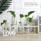 创意水培花瓶花盆小清新客厅桌面摆件装饰品透明玻璃绿萝植物容器