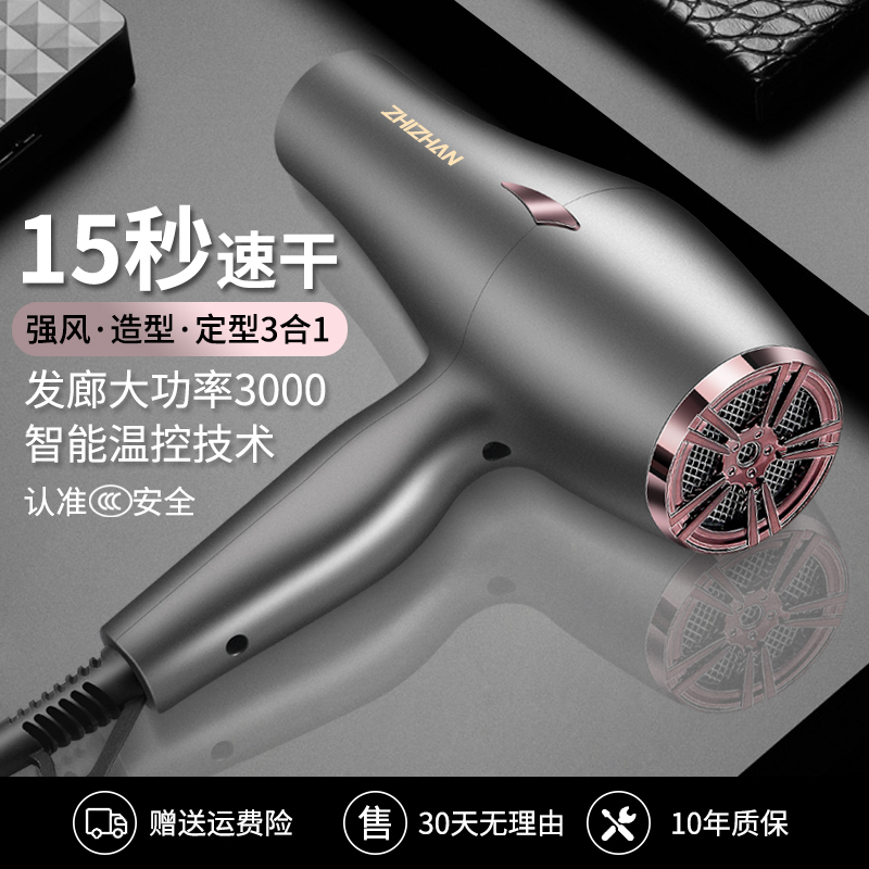 德国发廊速干吹风机家用大功率300