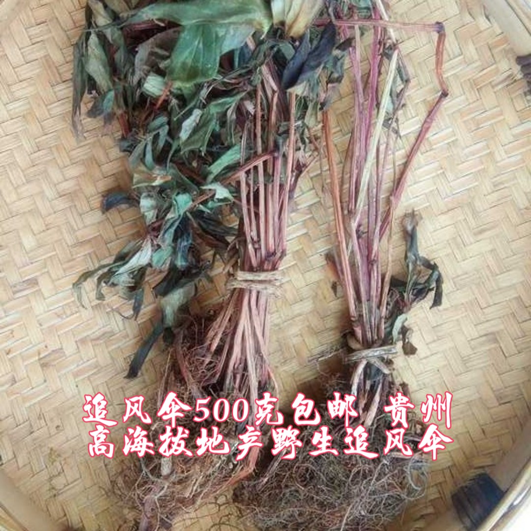 追风散500g包邮 贵州省中草药野生追风伞 惊风伞 破凉伞公 接骨丹