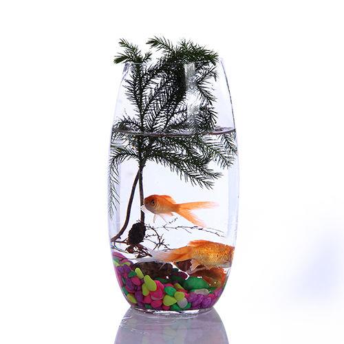 送定植篮透明玻璃绿萝花瓶 恐龙蛋水培花瓶瓶子 水养植物容器花盆在类目 家居饰品, 花瓶/花器/仿真花/仿真饰品, 花器/花瓶, 花瓶中 - 来自Buy2taobao.com提供专业的淘宝代购服务
