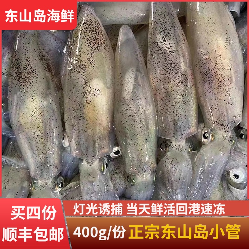 福建東山島燈光誘捕小管鱿魚新鮮活白管活凍小鱿魚冷凍海兔筆管魚在類目 水產肉類/新鮮蔬果/熟食, 海鮮/水產品/製品, 魷魚, 冷凍魷魚中 - 來自Buy2taobao.com提供專業的淘寶代購服務