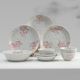 美浓烧樱花陶瓷碗碟盘子套装家用组合日式釉下彩餐具套装10只