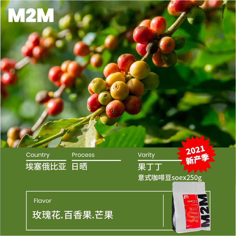 m2mcoffee埃塞俄比亚果丁丁意式咖啡豆新鲜烘焙日晒单品soe250g