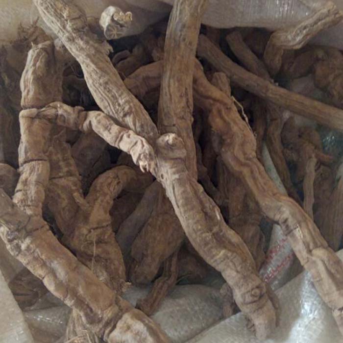 包邮正品无硫野生中草药材百解藤 金锁匙 独脚乌柏 金线风 凉粉藤