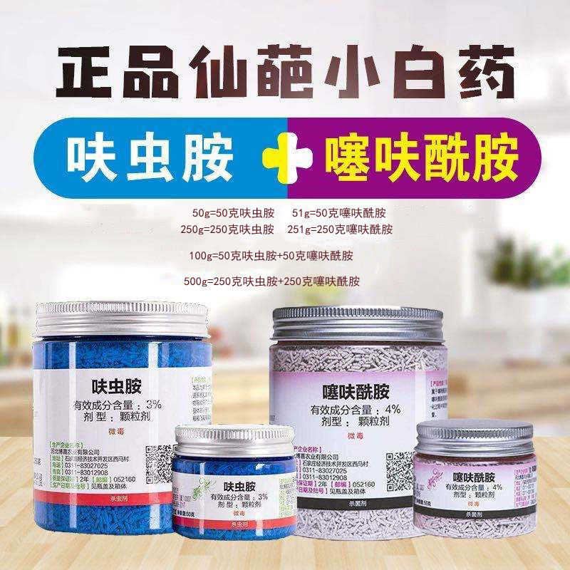 仙葩小白药小粉药多肉花卉蚧壳虫蚜虫小黑飞专杀黑腐煤烟病杀虫剂