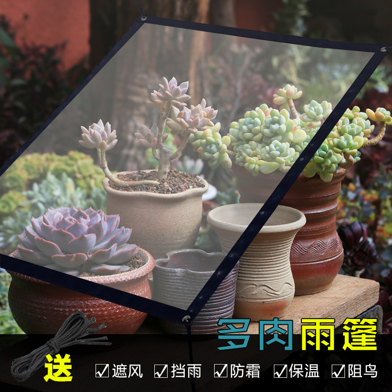 雨棚布多肉植物防雨布阳台窗户透明保温抗冻防鸟加厚塑料膜挡风篷在类目 鲜花速递/花卉仿真/绿植园艺, 园艺用品, 其它园艺用品中 - 来自Buy2taobao.com提供专业的淘宝代购服务