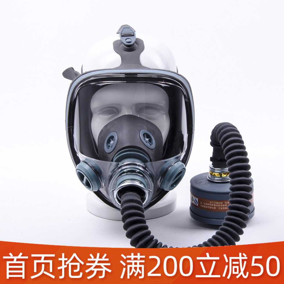 防毒面具防护面罩化工气体喷漆防农药实验室双箭龙隔离农药面罩