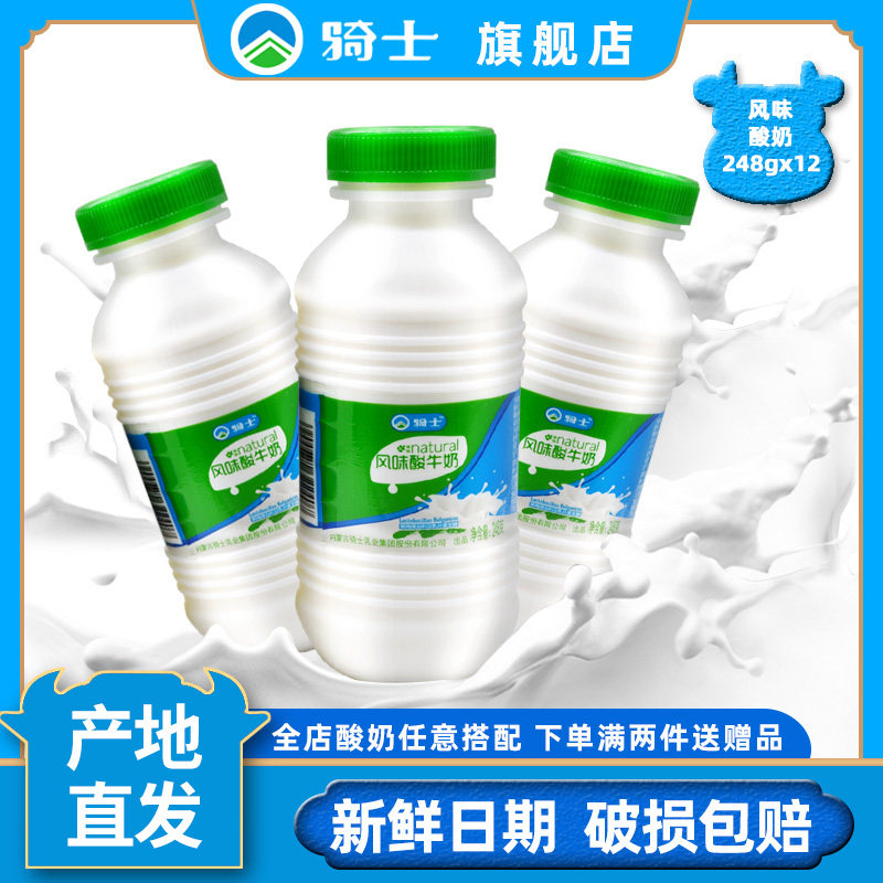 骑士风味酸牛奶原味网红瓶装酸奶非脱脂早餐益生菌酸奶228gx12瓶