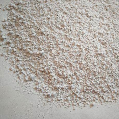 海蛤粉5斤包邮蛤壳海蛤壳文蛤海蛤壳中药材500g克