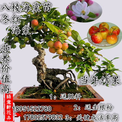 ٽӺͭϴ»ˮͷרһͷֵͨˮӳ 11.90Ԫ