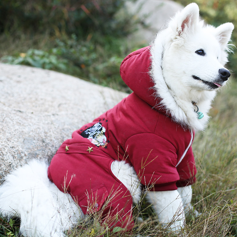 狗狗四脚衣服秋冬大型