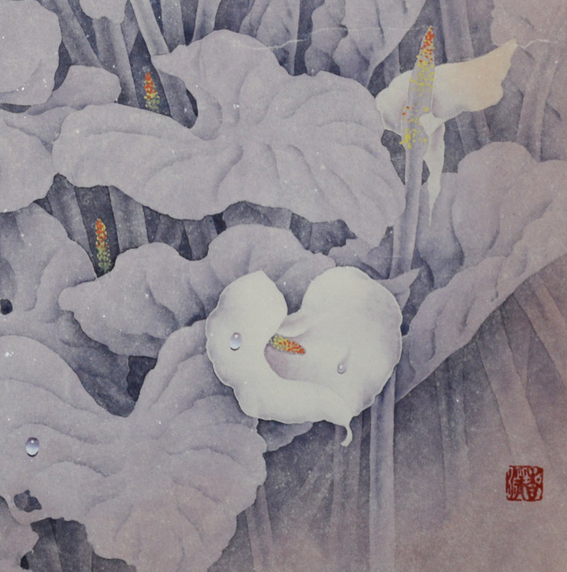 赵洪福《马蹄莲》水墨工笔