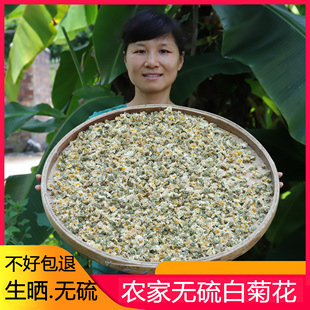 农家杭白菊250g菊花新货黄菊花胎菊王无硫食用白菊花可配枸杞产品