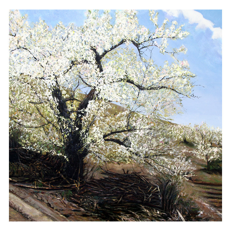 【学院艺术】鞍山师范学院 徐风华《梨花朵朵系列之二》布面油画