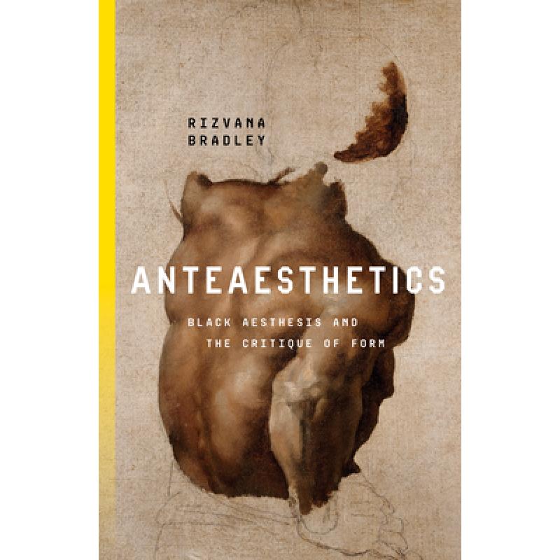 【4周达】Anteaesthetics: Black Aesthesis and the Critique of Form [9781503633025]