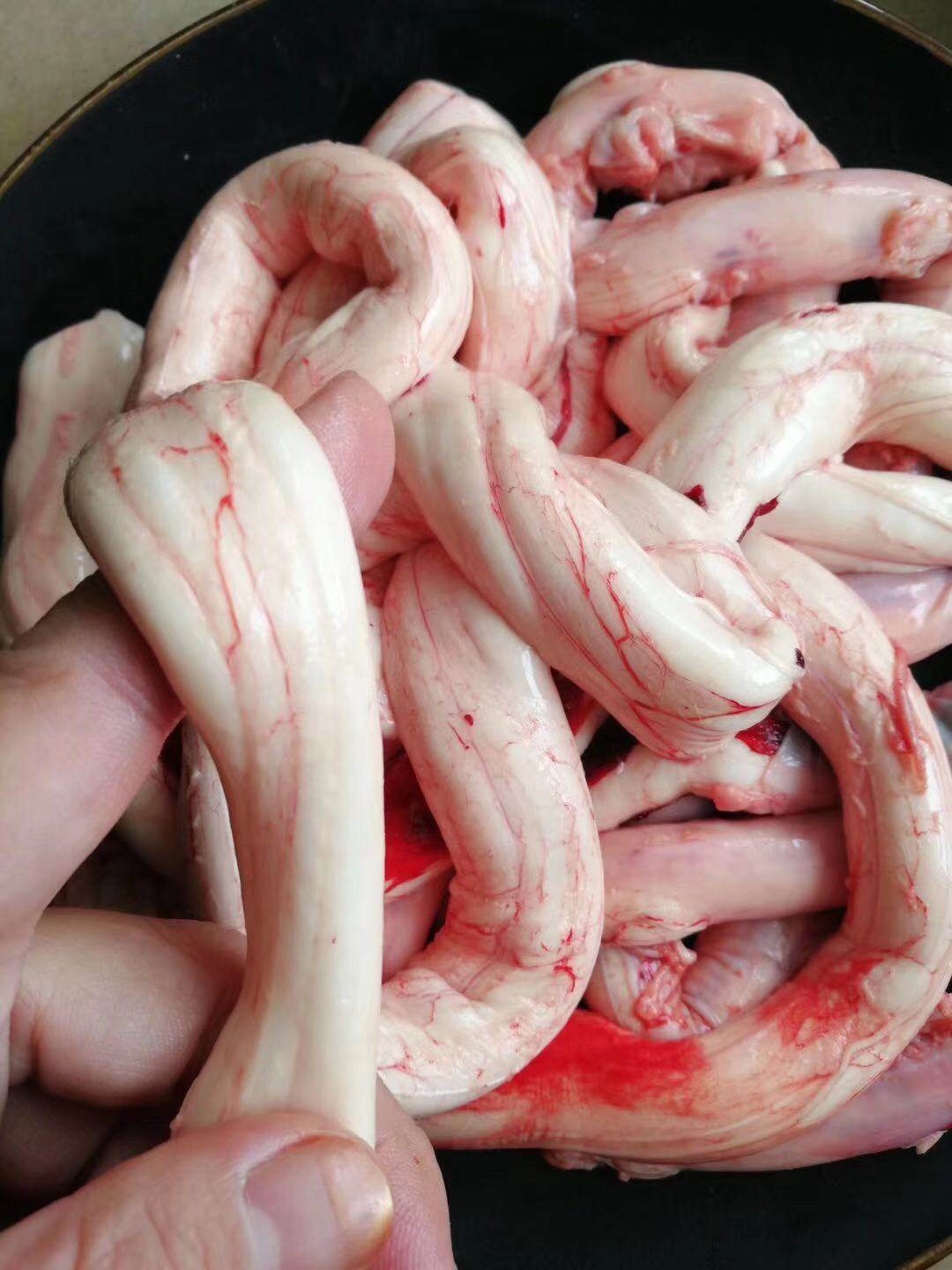 梅州新鲜牛骨髓 黄牛水牛脊髓 当天现抽 补钙火锅食材满3斤包邮