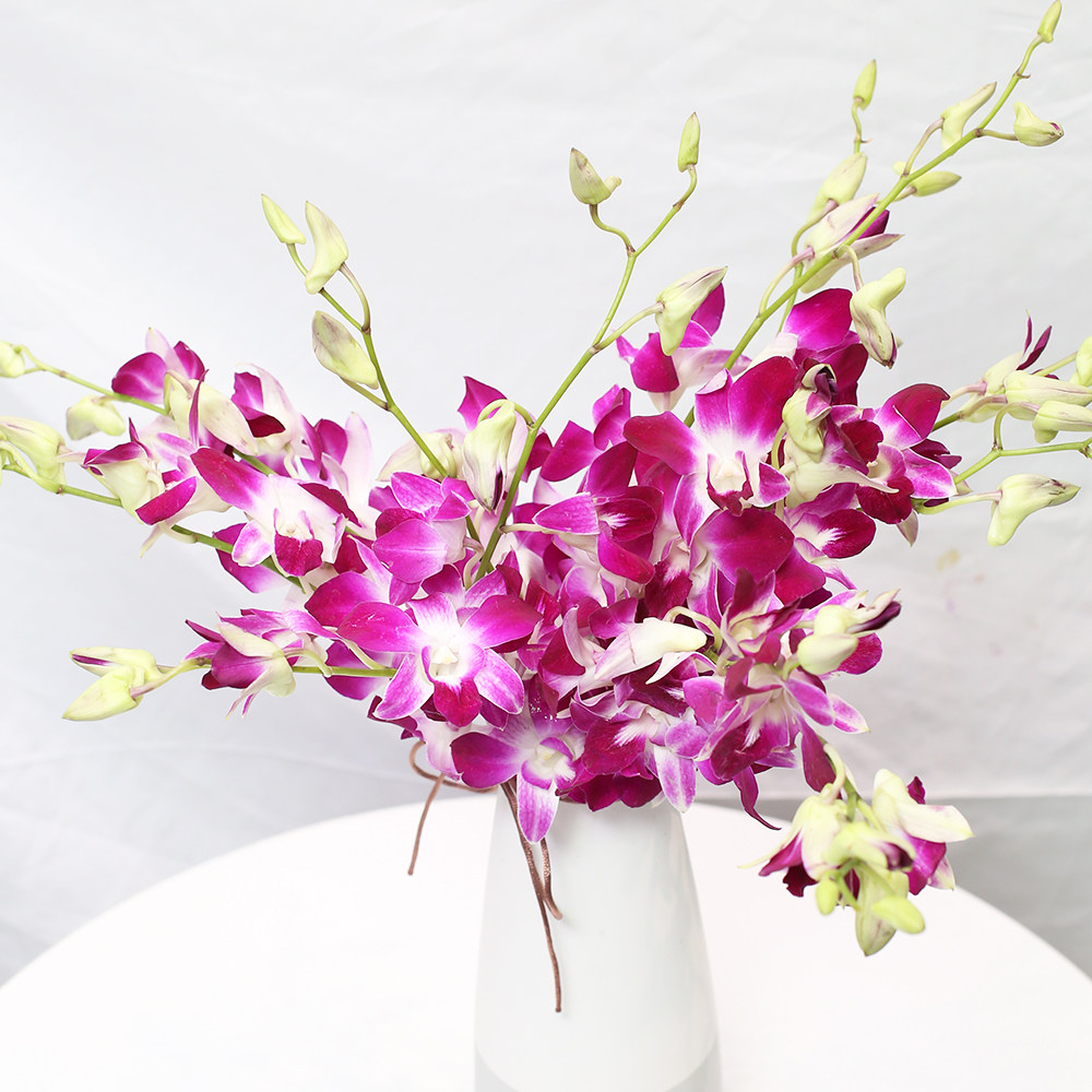 云南鲜花基地直发泰国洋兰家用包邮水养插花花束直批昆明同城速递
