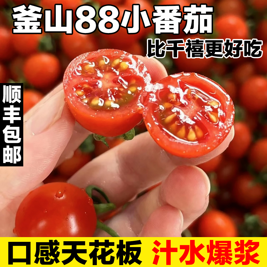 正宗釜山88迷你玲珑果爆甜小番茄应