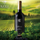 卡珀干红葡萄酒2012陈酿珍藏优质红酒西班牙里奥哈Rioja 原瓶进口