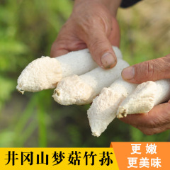 竹荪特级农家土特产天然肉厚井冈山特产70g梦菇干货