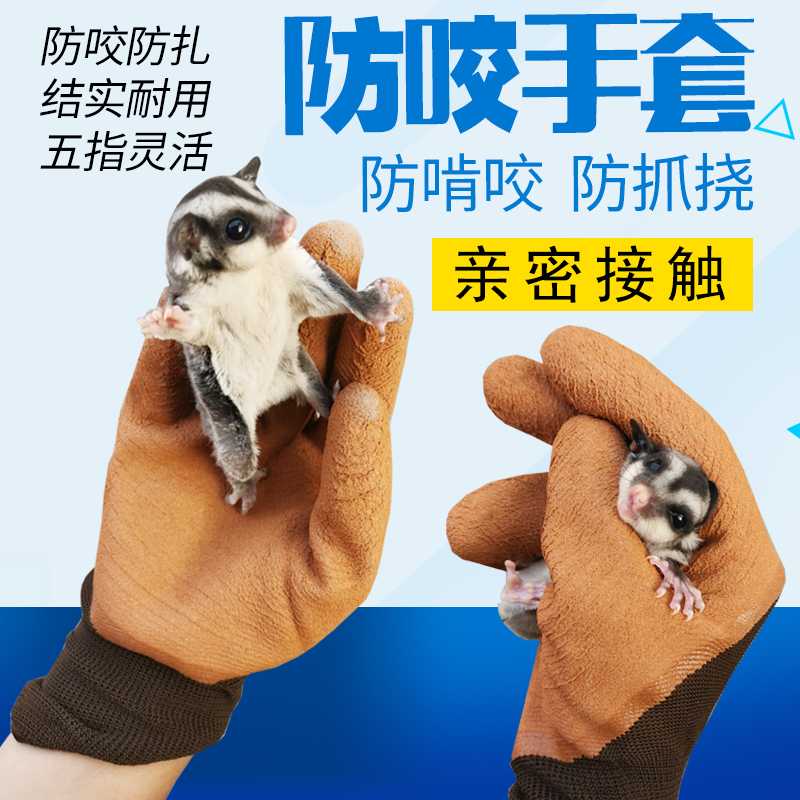 蜜袋鼯魔王松鼠防咬手套上药剪指甲松鼠用品刺猬防抓咬不破抓不透