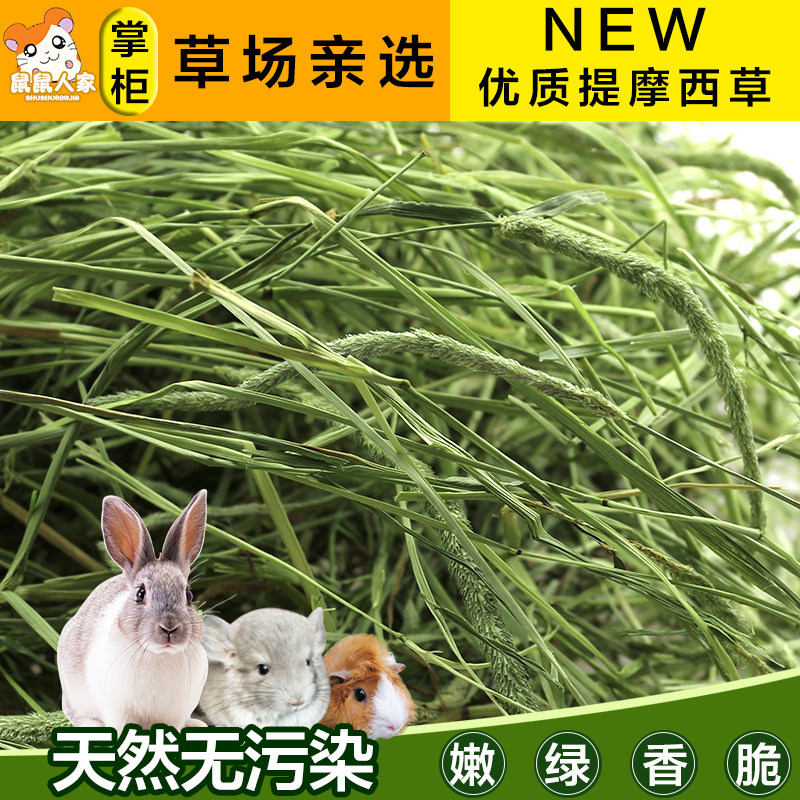 兔兔干草大全——其他用品